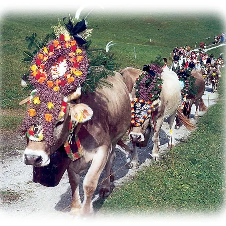 Kroell - Viktoria Und Maria Apartament